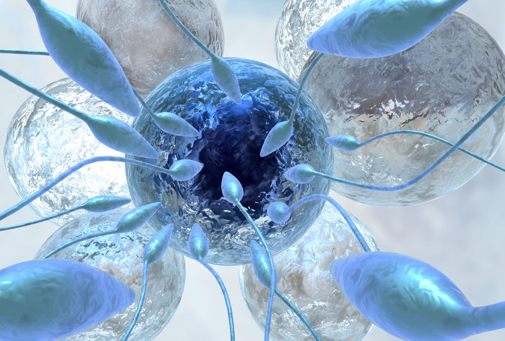 Zelltransformation und Erleuchtung der Materie