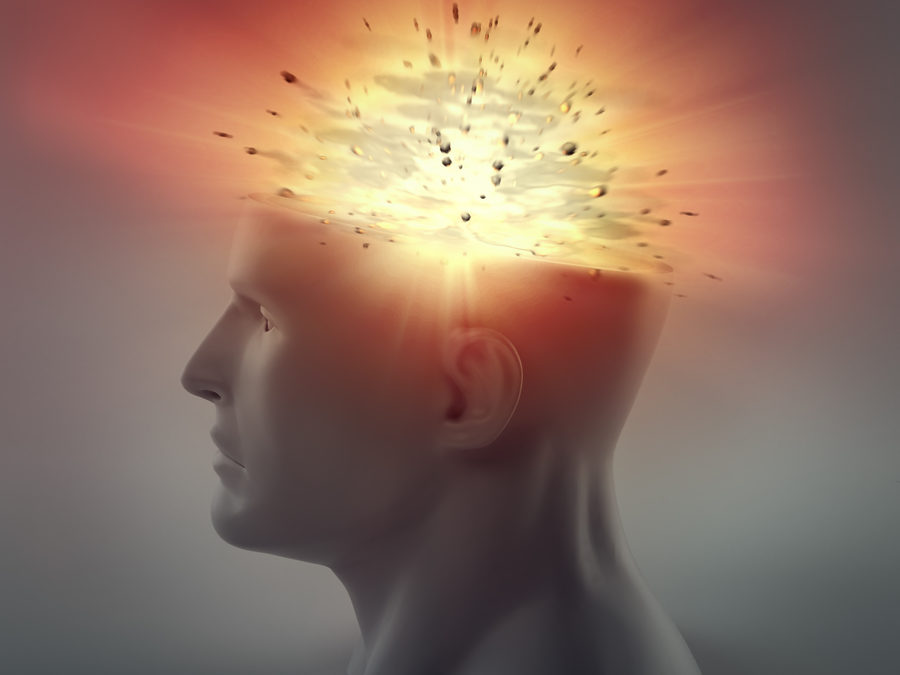 Das mentale Paradigma