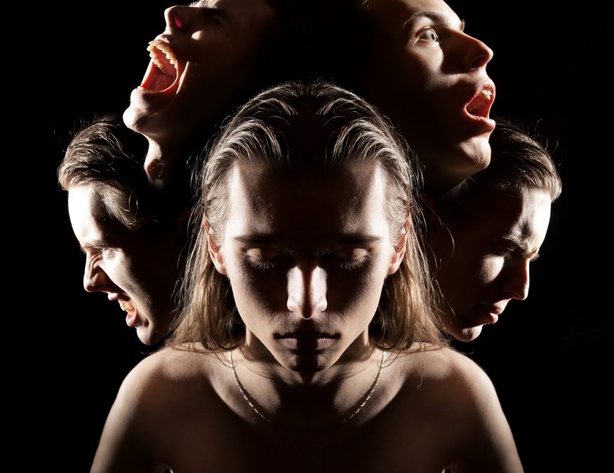 Die fragmentierte Ichheit