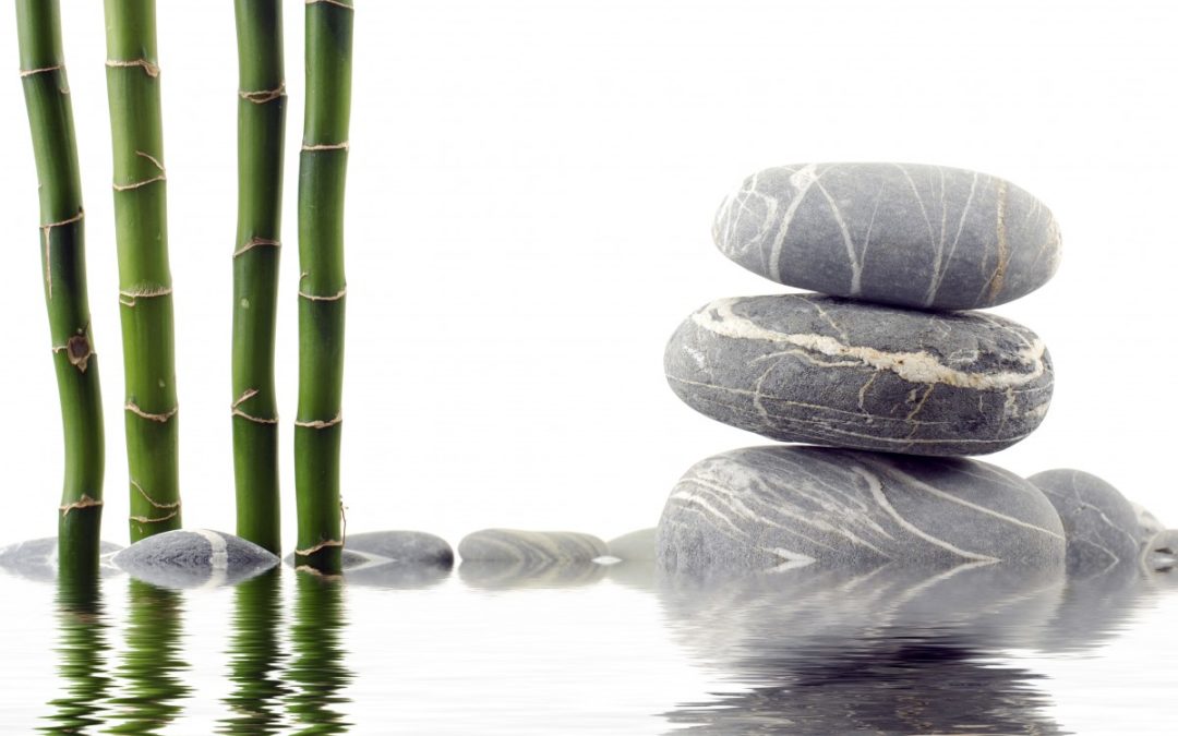 Paradigmatische Entgiftungen ..