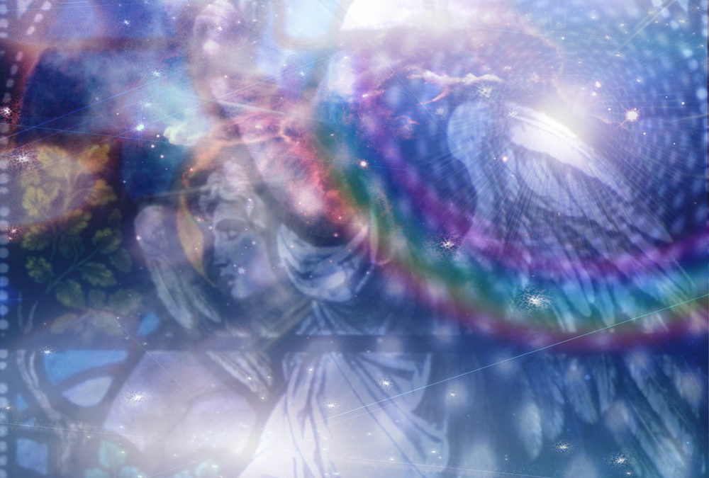 Morphogenetische Felder