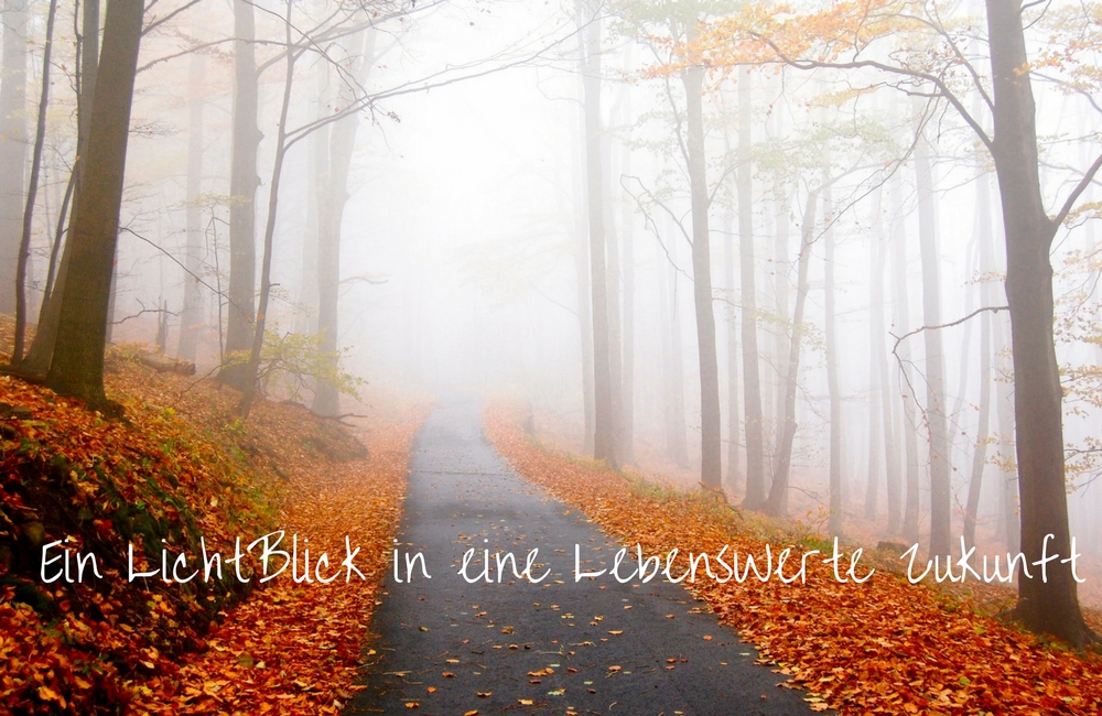 Ein LichtBlick in eine LebensWerte Zukunft