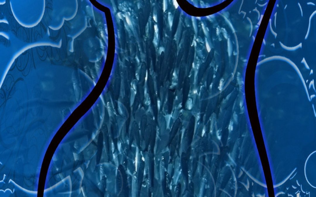 Der weibliche Lichtkörper