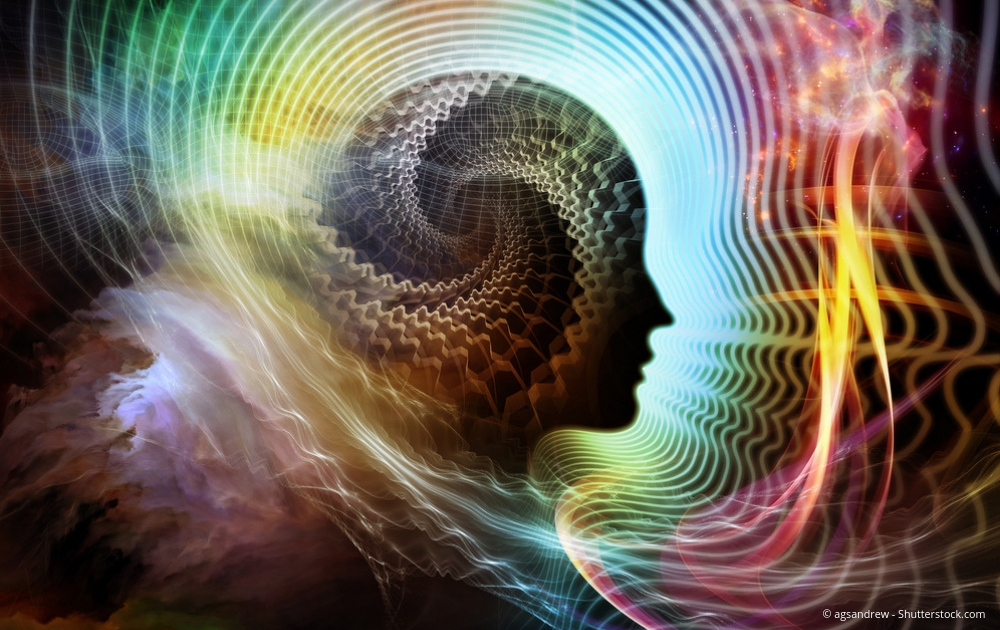 Das gnadenlose Geschäft mit Ayahuasca